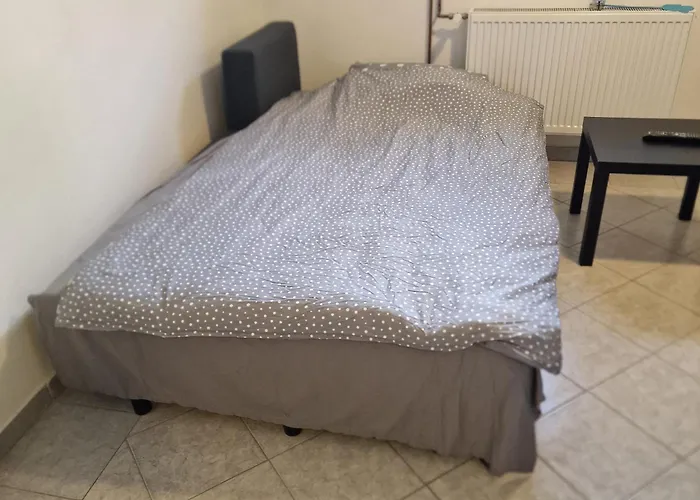 Spacious & Cozy Countryside Apartma *